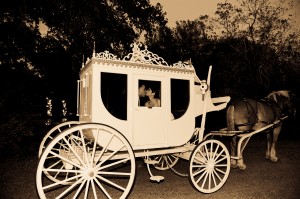 Fairytale-Wedding-Transportation Happily Ever After